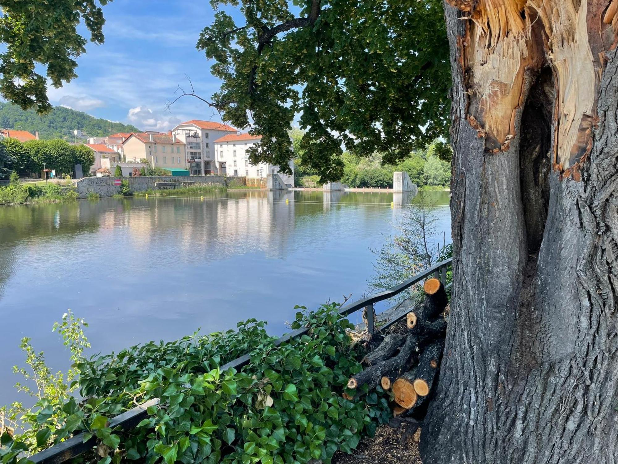La Brivoise - Maison Calme Et Cosy , Wifi, A 5Min Du Puy Villa Brives-Charensac ภายนอก รูปภาพ